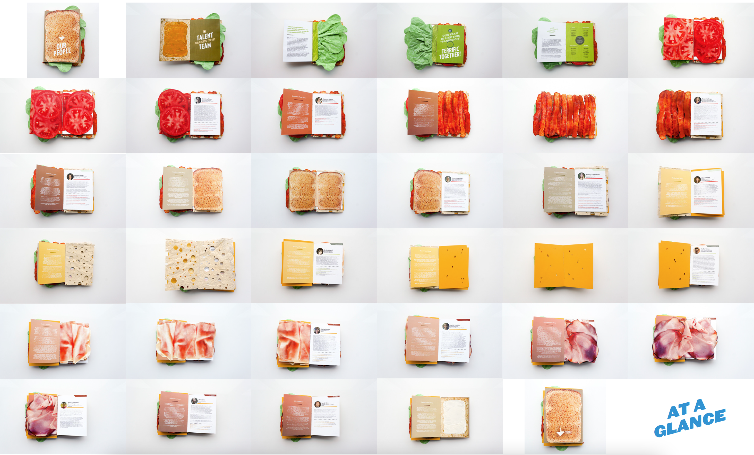 Sandwich Book Overview